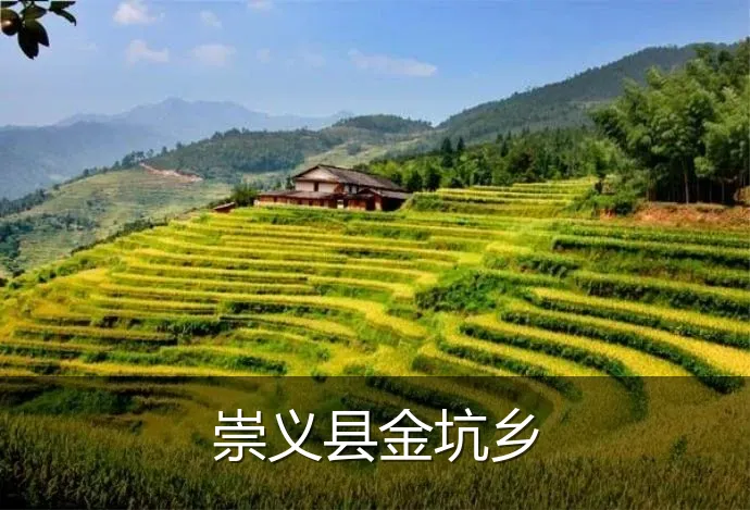 崇义县金坑乡