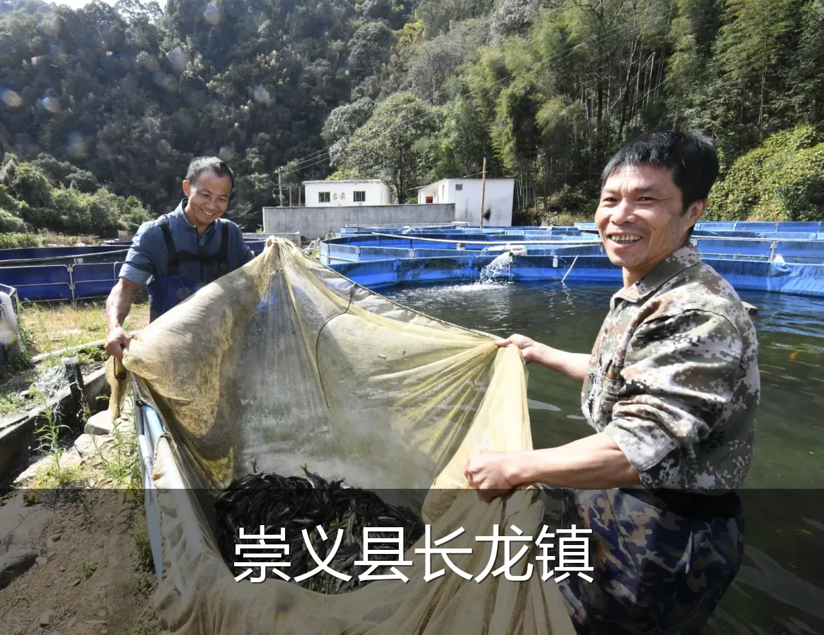 崇义县长龙镇